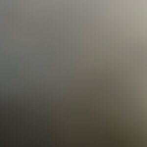 Meet your Posher, Frances